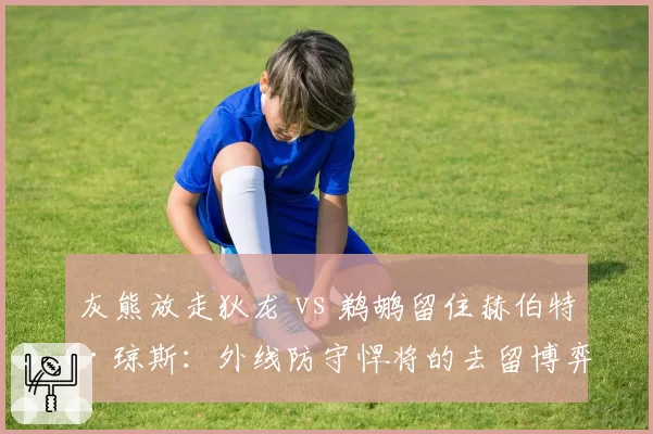 灰熊放走狄龙 vs 鹈鹕留住赫伯特·琼斯:外线防守悍将的去留博弈