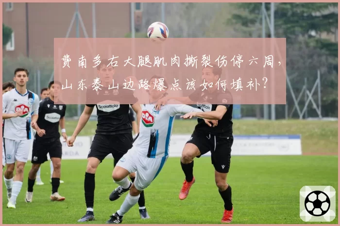 费南多右大腿肌肉撕裂伤停六周,山东泰山边路爆点该如何填补?