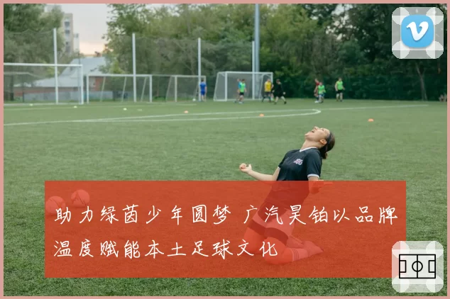 助力绿茵少年圆梦 广汽昊铂以品牌温度赋能本土足球文化