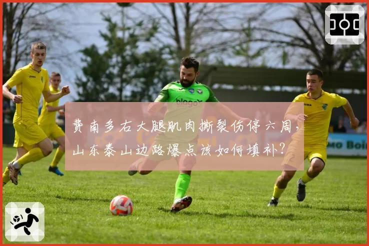 费南多右大腿肌肉撕裂伤停六周,山东泰山边路爆点该如何填补?