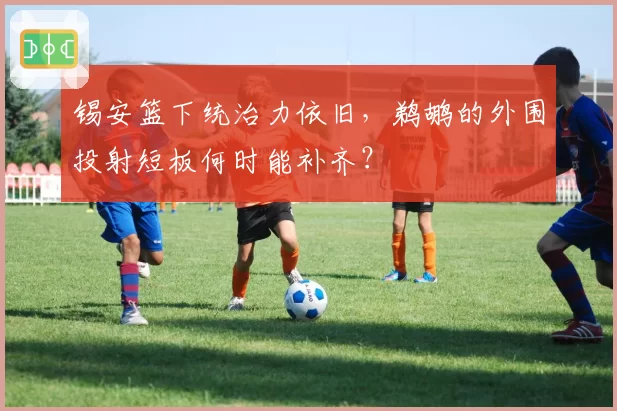 锡安篮下统治力依旧,鹈鹕的外围投射短板何时能补齐?